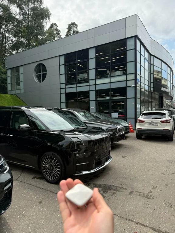 Сервис «FRANK AUTO Новорижский» Zeekr в Москве